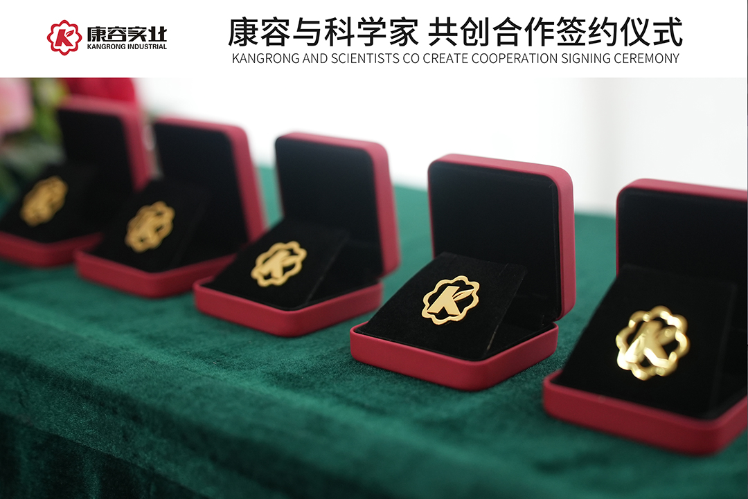 KY中国官方网站签约任政华教授